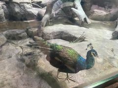 -福州罗源湾海洋世界旅游区