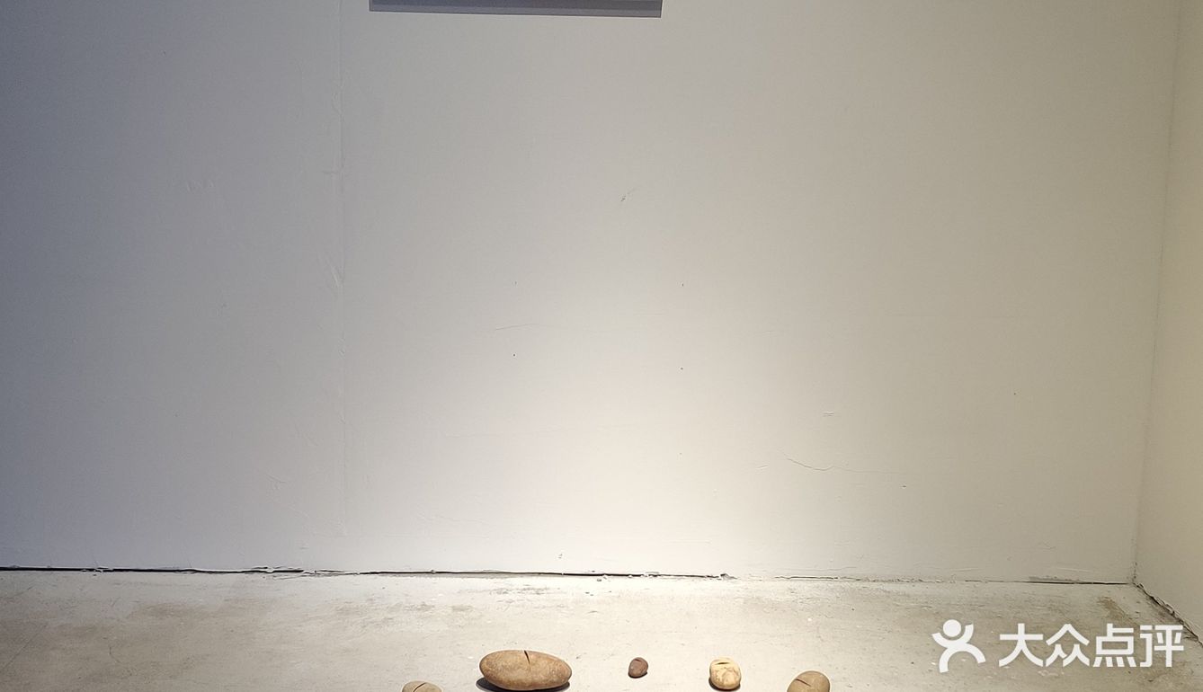 成都｜0元看展｜“巨出片”小众展踩雷