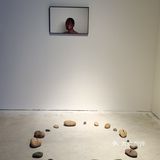 成都｜0元看展｜“巨出片”小众展踩雷