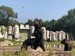 -沈阳森林动物园