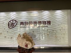 -青岛贝壳博物馆