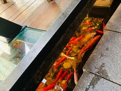 -颐和•海鲜砂锅粥•啫啫煲(奥林匹克广场店)