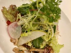 -蝶舍·MAISON PAPILLON