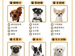-美联众合动物医院·24h转诊中心