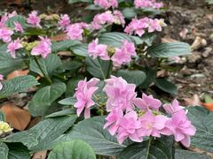 -常州古运河南大街文化旅游区-人民公园