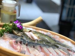 -吃城都·鱼蛙火锅(西玉龙街店)