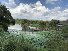 -西溪国家湿地公园