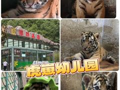 -栾川竹海野生动物园