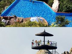 -亚龙湾热带天堂森林公园
