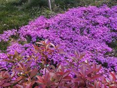 -山东省千佛山医院
