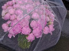 -循礼门鲜花花市(武汉循礼门店)