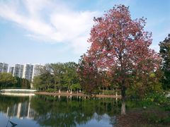 -白塘生态植物园