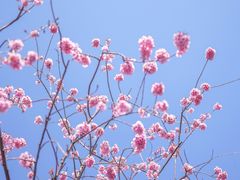 -天龙八部武侠城