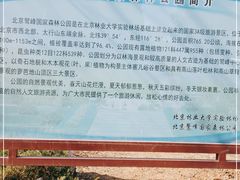 -北京鹫峰国家森林公园