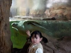 -长鹿旅游休博园
