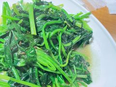 菠菜蕨根粉-Alali阿拉礼·新疆家宴(西溪新座店)