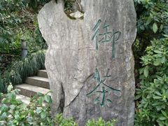 -龙井村