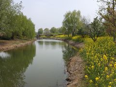 -泗洪洪泽湖湿地景区