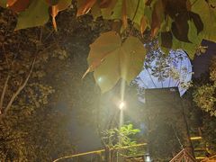 -巴倒烫陆派火锅山庄(南山总店)