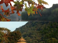 -广州市石门国家森林公园