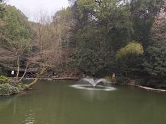 -山外山菜馆(玉泉路店)