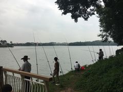 -仙湖旅游度假区