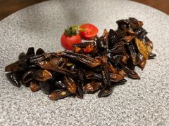 -芙蓉堂(武汉天地店)