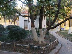 -环城公园-琥珀潭