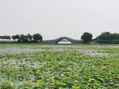-天津东丽湖风景区
