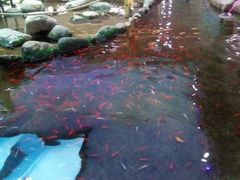 -鸿通城购物中心