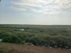 -北海金海湾红树林生态旅游区