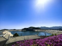 -江南天池