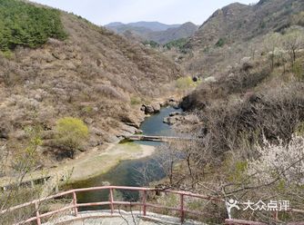 每年春天山桃花盛开，适合到北边山里自驾