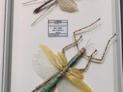 -烟台市博物馆
