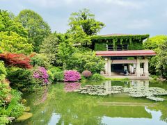 -中国茶叶博物馆(双峰馆区)