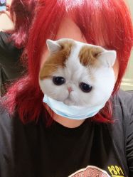 -菲拉派瑞连锁沙龙