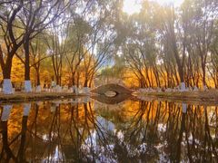 -长白岛森林公园