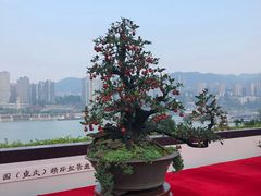 -重庆市江北嘴中央商务区中央公园