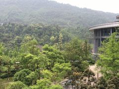 -中铁花水湾温泉酒店(大邑店)