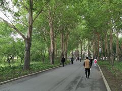 -长春市南湖公园