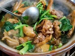 -霞姐屯昌枫木香草鸭店(海螺店)