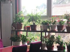 -北京龙庆四季香农家饭庄·灶台鱼·碳烤虹鳟鱼(龙庆峡店)