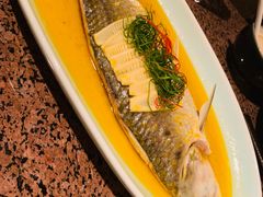 鲥鱼-湖滨28中餐厅·西湖宴·杭州君悦酒店