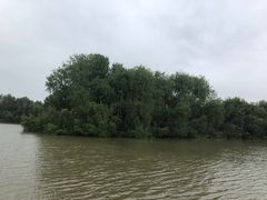 -大湾区中央湿地公园