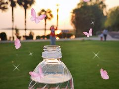 -太阳岛度假酒店