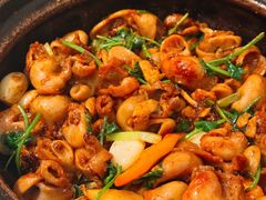 鱼肚-煲煲好(朝阳门店)