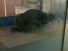-雨林宠物医院 非犬猫异宠专科