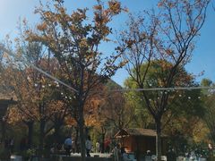 -九如山休闲旅游度假区