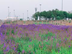 -东疆建设开发纪念公园