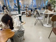 -共舞时光猫咖·狗咖(新街口店)